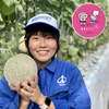 ”訳あり”西河農園のおやつメロン！おまけ付き！