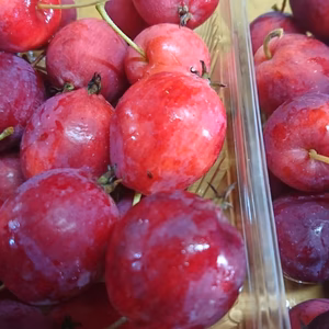 目が覚める　酸っぱいりんご　ドルゴ　