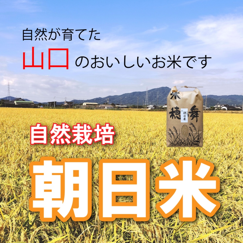 新米23年度産 自然栽培のお米（おいしい玄米10ｋｇ）昔の品種：朝日米