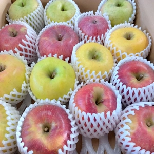 旬のりんご5品種組み合せ5ｋｇ箱入り