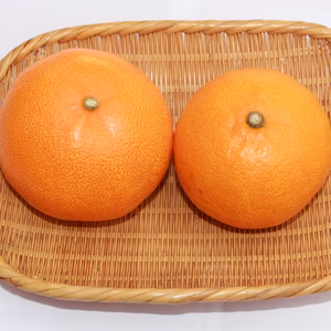 【家庭用】せとか［愛媛県産］（5kg、10㎏）