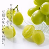 【訳あり大容量】シャインマスカット恵　2.0kg｜毎日楽しめるお得な箱いっぱい