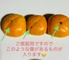 ＊送料無料＊和歌山県産たねなし柿(ご家庭用)　２.３kg以上