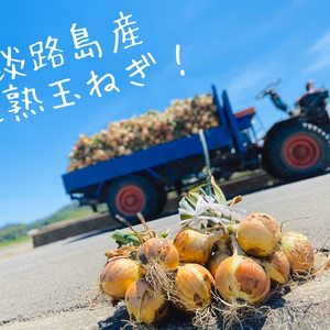 【8周年福袋】 淡路島産吊り玉ねぎと完熟玉ねぎセット