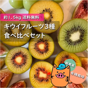 送料無料⭐️旬キウイおまかせ２種 東京ゴールド ジャンボイエロー 紀州ゴールド