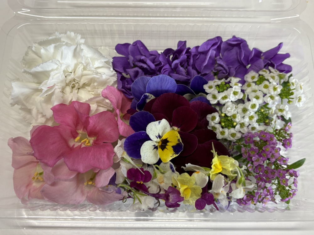未使用タグ付き　サイズ40 エポカ　シャドーフラワープリント　三陽商会　花柄 エディブルフラワー 詰合せ 約40輪以上（目安）｜エディブルフラワー