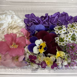 エディブルフラワー　詰合せ　約40輪以上（目安）