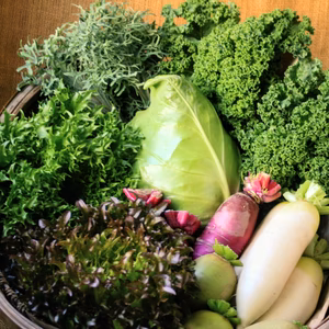 多品目栽培農家のユニーク旬野菜つめあわせセット