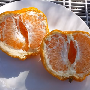 【はるみ】みかん大玉L/LL混在❬4kg❭和歌山産（冷蔵便）