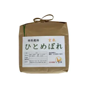 【月1定期】ひとめぼれ農薬・化学肥料不使用 玄米2kg～