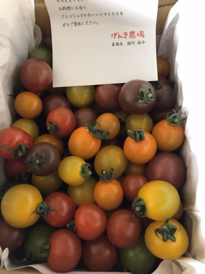 みんなの投稿の画像