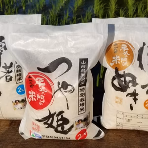 令和6年産　山形3点食べ比べセット（2㎏3種類）