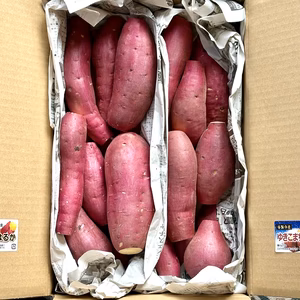 日替わり「さつまいも」2種類セット！色々なサイズ入り  5キロ箱【訳あり】