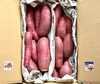 日替わり「さつまいも」2種類セット！色々なサイズ入り  5キロ箱【訳あり】
