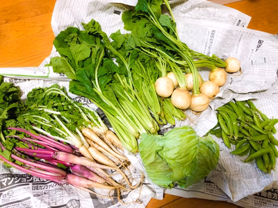 みんなの投稿の画像