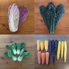 いつもとちょっと違う野菜セット（12点・100サイズ）　＜農薬・化学肥料不使用＞