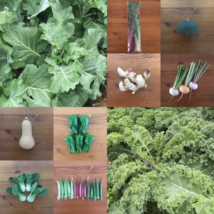 ケール２種 ＋野菜セット（８点・80サイズ）　＜農薬・化学肥料不使用＞