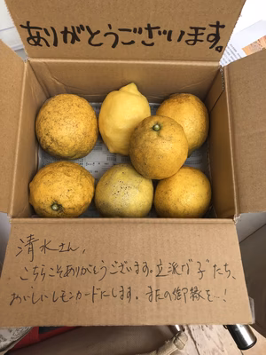 みんなの投稿の画像