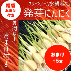 【7周年福袋】発芽にんにく福袋無料おまけ付き！※30本+訳アリ5本セット　