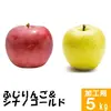 ふじりんご&シナノゴールド【訳あり5kg】二種食べ比べ☆10月下旬頃出荷予定