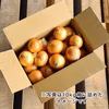 【リピーター様専用】淡路島産たまねぎ 特別栽培 兵庫県認証食品 レシピ付き！