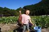 【ごろごろの紅はるか】　10月以降～発送！　熟成１ヶ月超！　さつまいも！