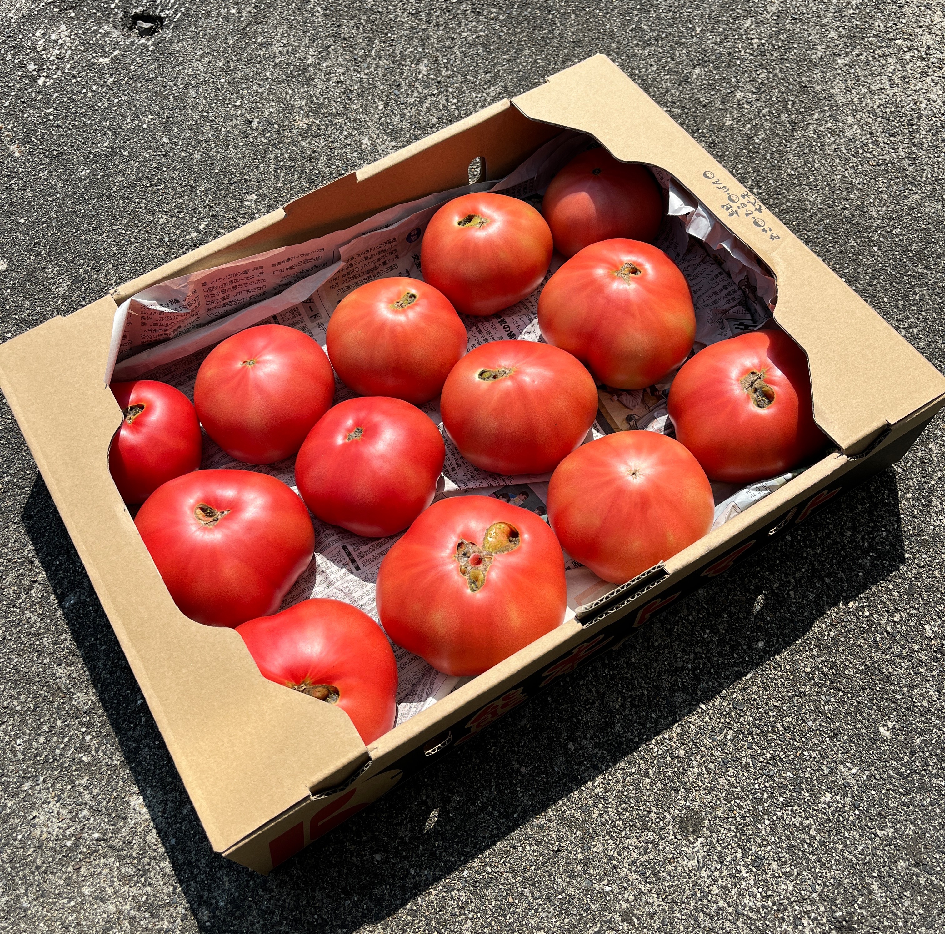 減農薬 桃太郎 トマト 約3.5kg はねだし 訳あり｜野菜の商品詳細 ...