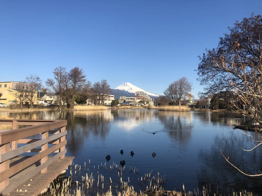 【お米】令和5年産ヒノヒカリ小規模農家ならでは！大切に育てました