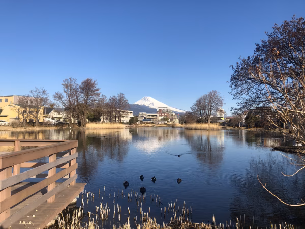 令和7年産【無化学肥料無農薬米】富士山の湧水で育ったヒノヒカリ