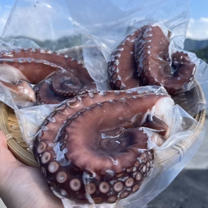 プリップリ触感！島根県産「ボイル真だこ」1kg（小分けパック）