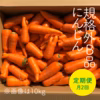 【定期便】規格外B品　農薬・化学肥料不使用にんじん