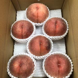 飛騨桃（川中島白桃）超大玉　３kg 6玉入り