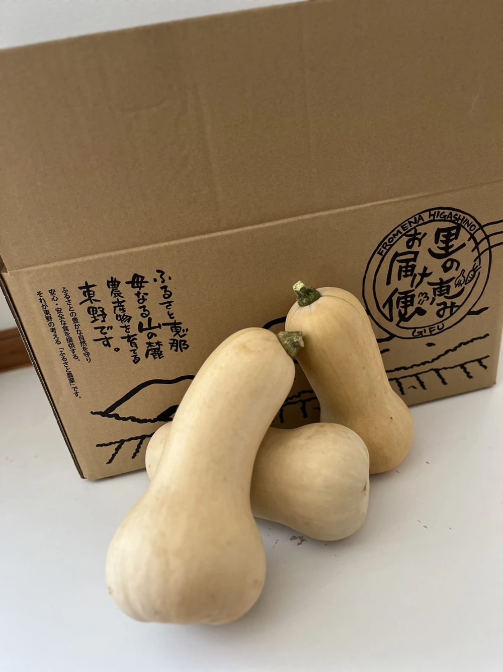 バターナッツカボチャ10kg｜野菜の商品詳細｜ポケットマルシェ｜産直