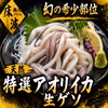 【イカの王様希少部】自宅で網焼き居酒屋の味を『特選アオリイカ 生ゲソ』約400g