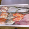 今日獲れ❗️本日限定販売❗️本日の鮮魚セット