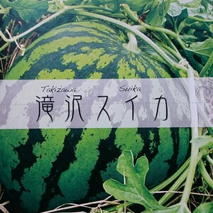 名産品！滝沢スイカ1玉(8～10キロ)