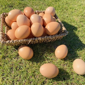 福地鶏のふくたまご25個(規格外55g以下)