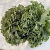 緑黄色野菜の王様　カリーノケール　MIX