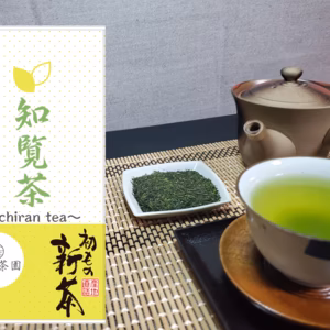【新茶のみ使用】知覧茶、深蒸し煎茶、かぶせ茶、茶農家が販売するお茶【送料無料】