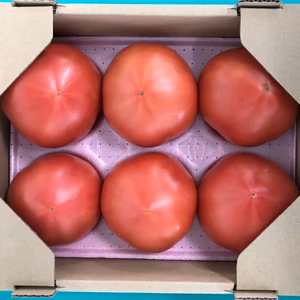 メトリの桃太郎