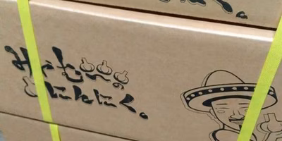 ニンニク栽培はやめた！