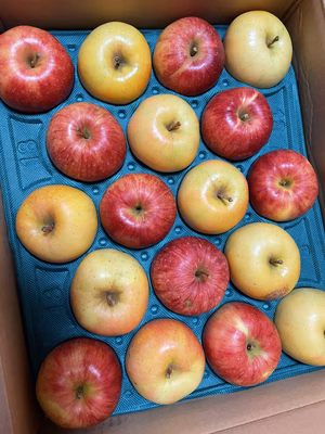 みんなの投稿の画像