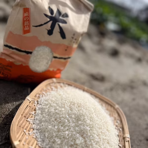 令和7年産・新米【にこまる】種子消毒なし