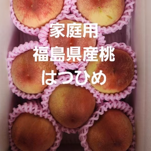 福島県産 桃 はつひめ