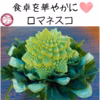 4個＊食卓をオシャレに彩る♡ロマネスコ　栃木県産 花野菜