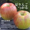 夏りんごの定番【つがる】通常品規格/特別栽培/ネオニコ系農薬不使用/冷蔵便