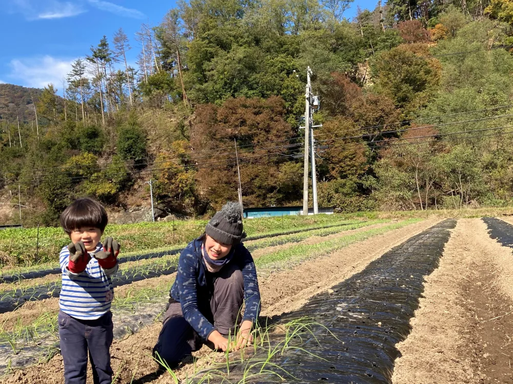 [土曜発送]　子育て農家の野菜セット　選べる2サイズ