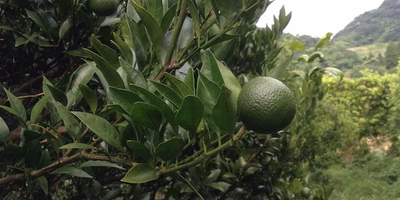 今よりよくなるでは、よくならない