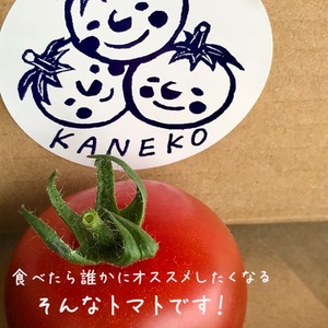 ★500g×8袋‼️4kg詰め　かねこのトマト農園