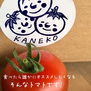 ★500g×8袋‼️4kg詰め　かねこのトマト農園
